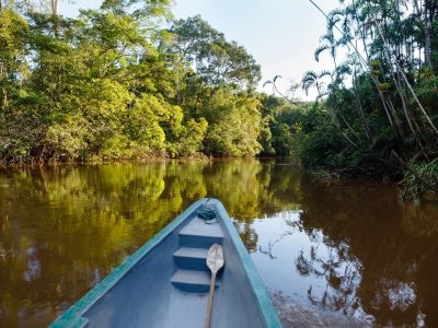 Im Amazonasgebiet (© Mauro Scarone)