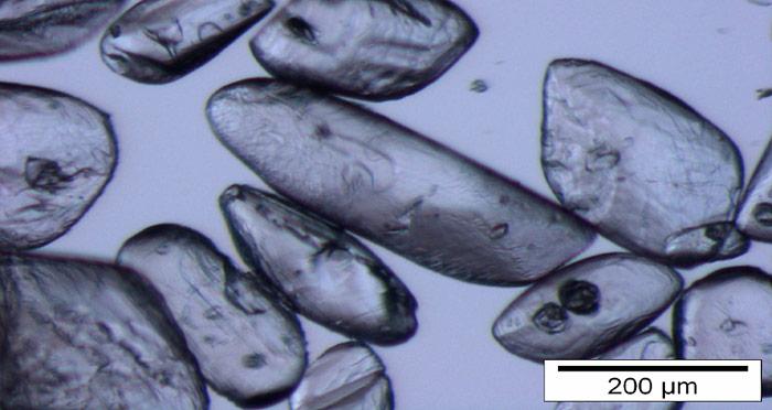 Ikait-Kristalle unterschiedlicher Form und Grösse, unter dem Binokular fotografiert