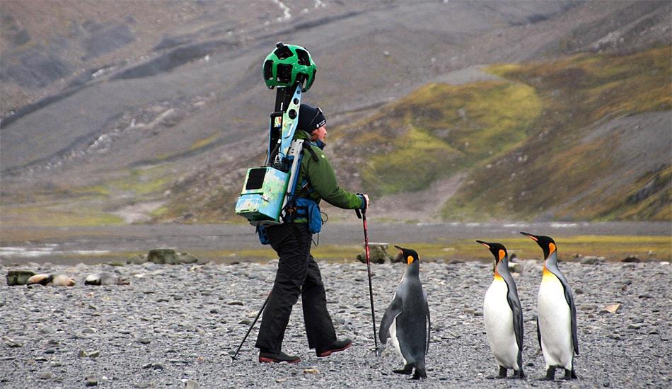 Wie von einem anderen Stern, da staunen selbst die Pinguine.